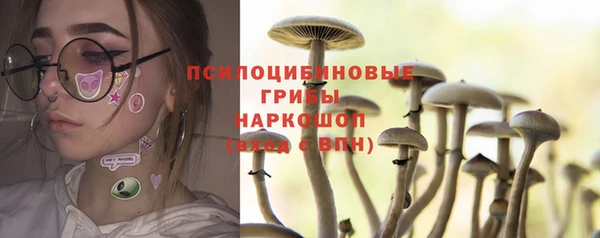 PSILOCYBIN Баксан