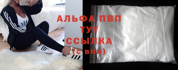 гашик Пестово