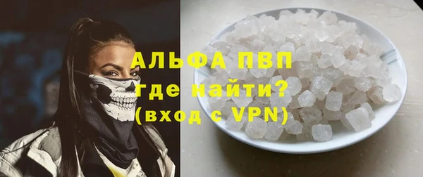 ешки Пересвет