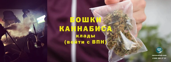 PSILOCYBIN Баксан