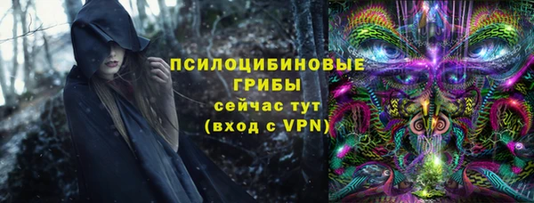 PSILOCYBIN Баксан