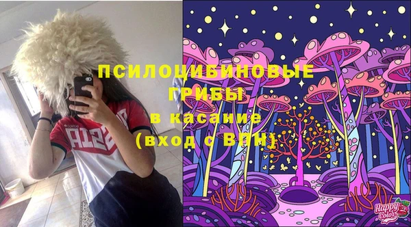 PSILOCYBIN Баксан